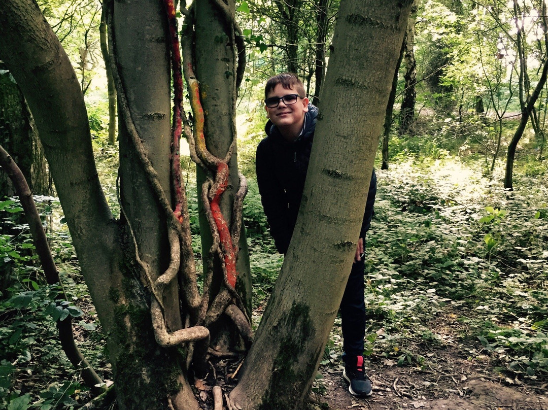 Plessey Woods Art Trail-Bedlington必去景点