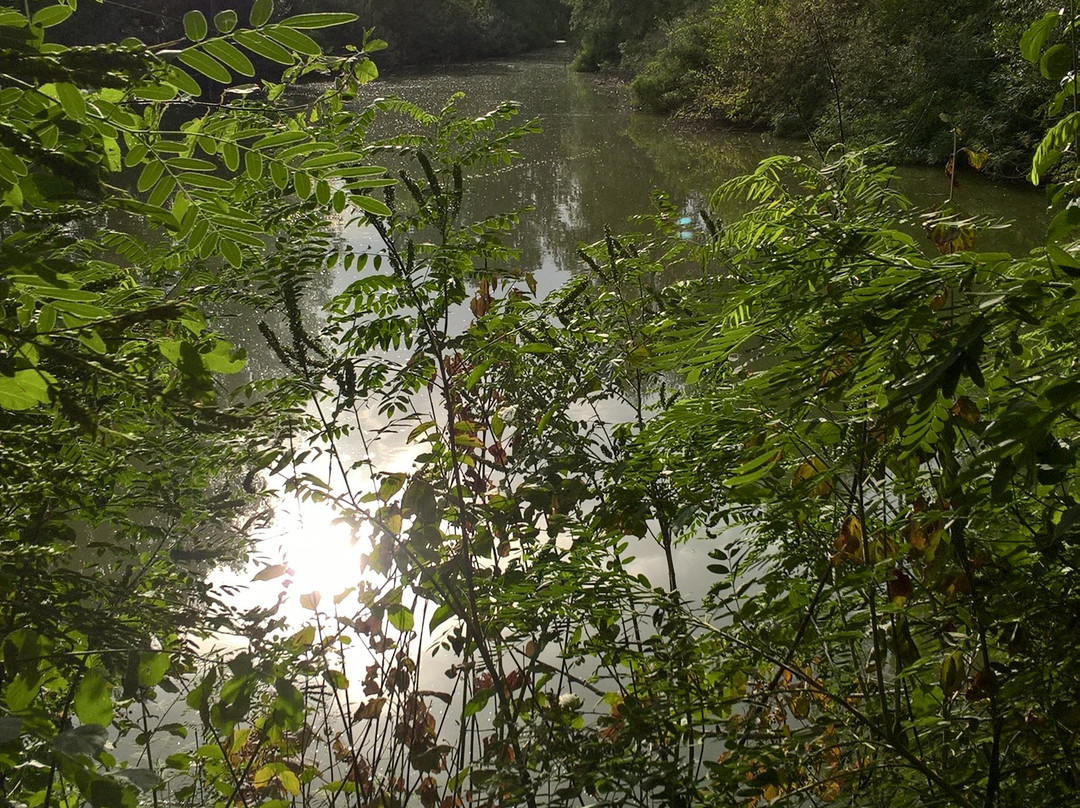 Riserva naturale orientata Parma Morta-Mezzani必去景点