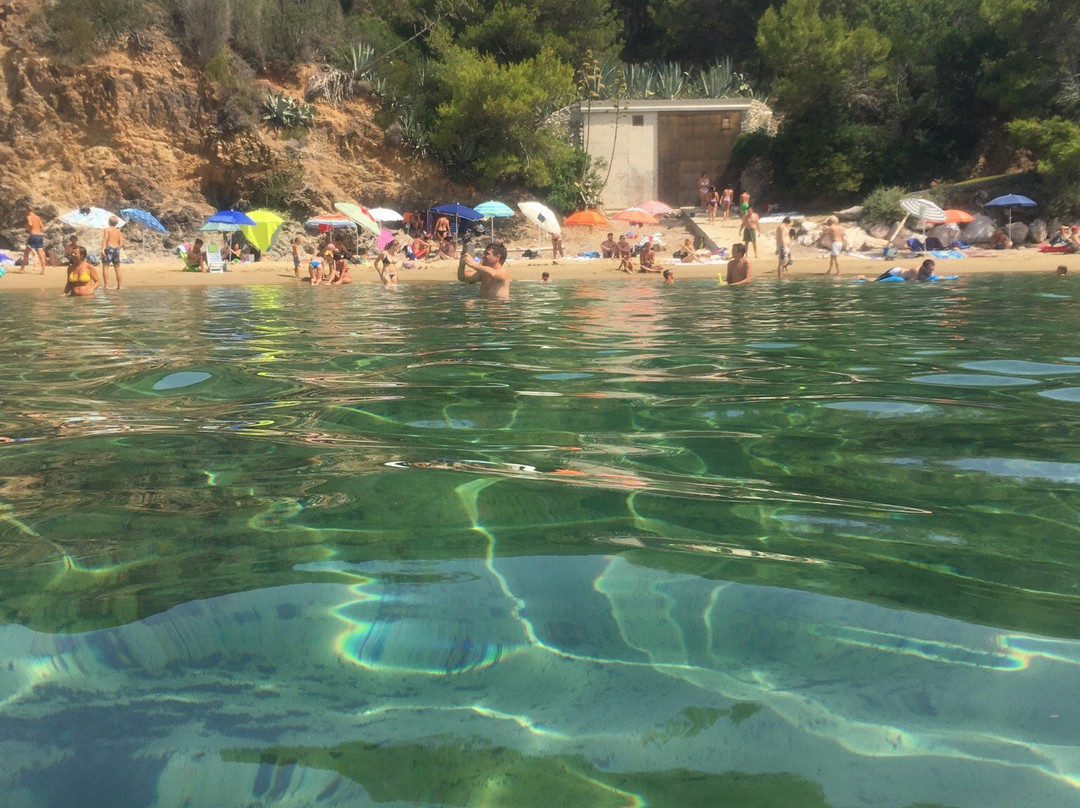 Spiaggia di Felciaio景点图片