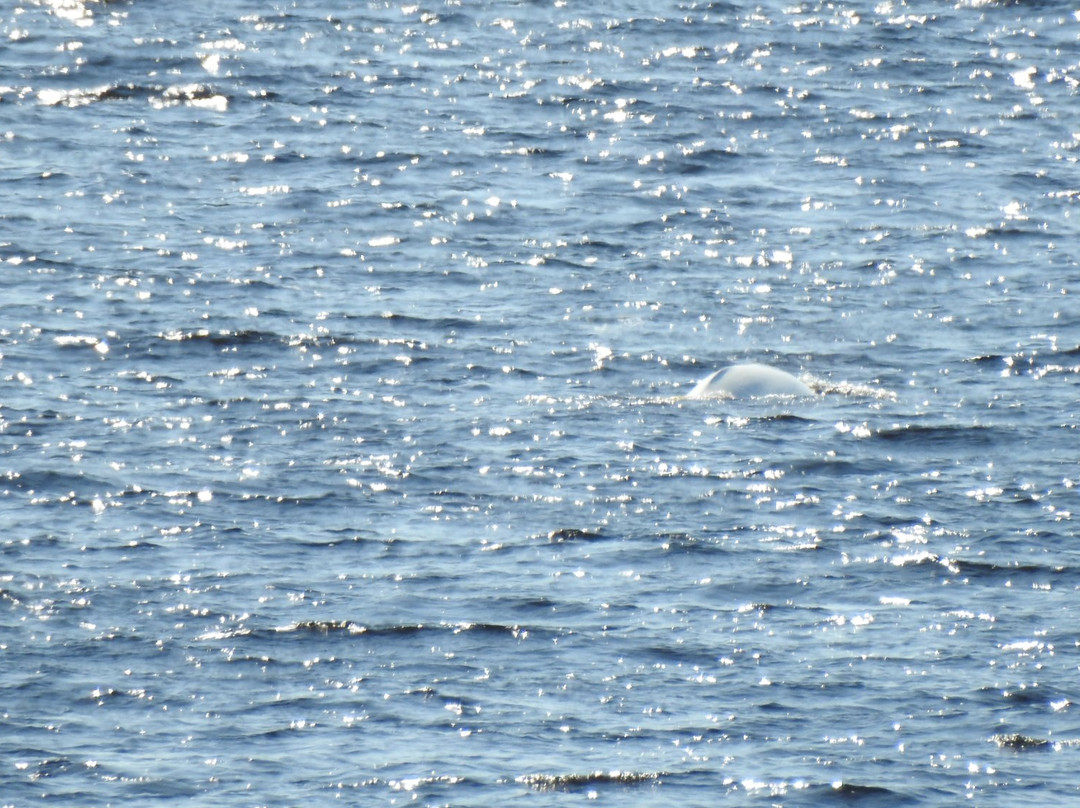 Baie Sainte-Marguerite-Sacré-Coeur-Saguenay必去景点