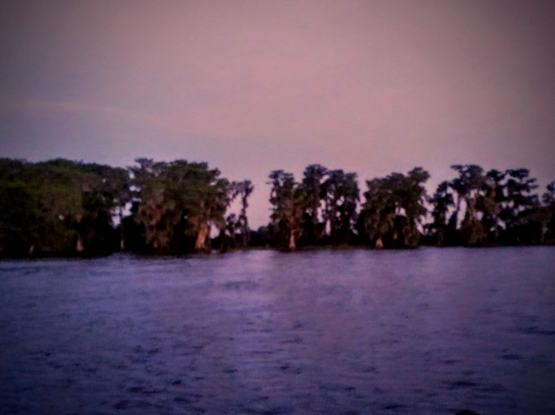 Lake Istokpoga景点图片