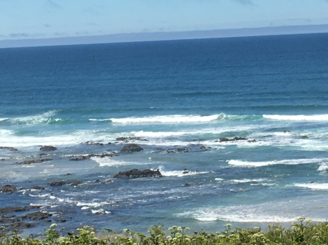 Neptune State Scenic Viewpoint-弗洛伦斯必去景点