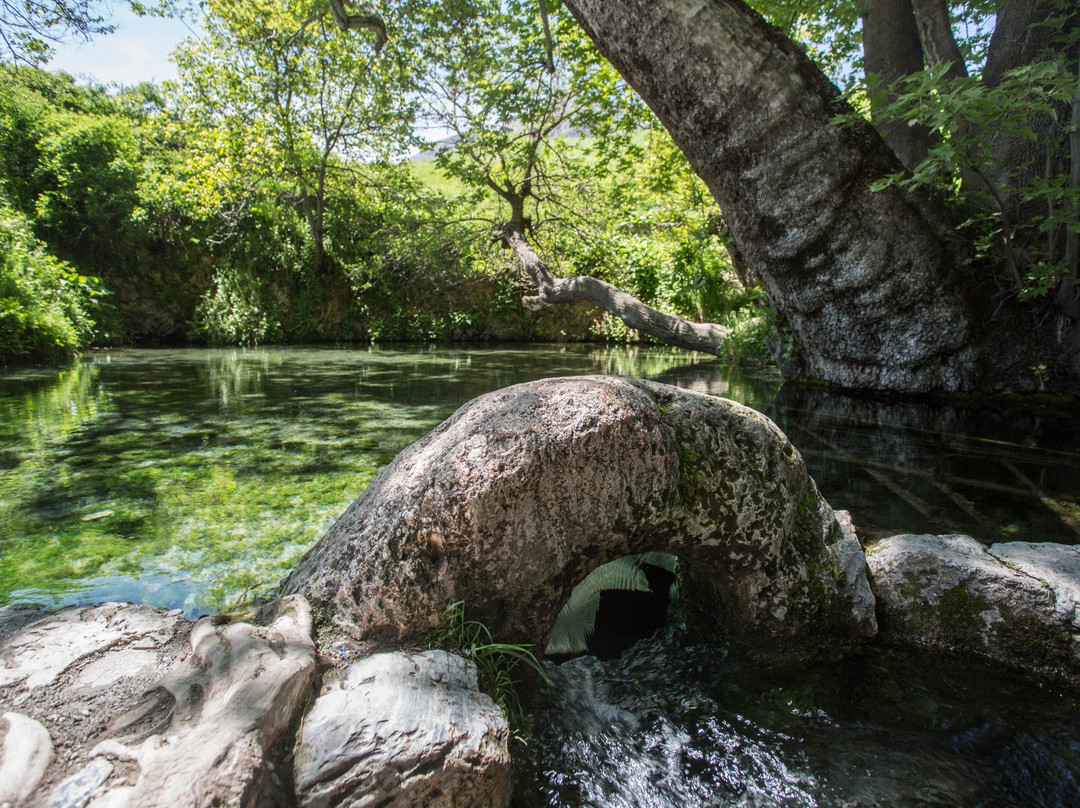 Chor-Chinor Garden-Urgut必去景点