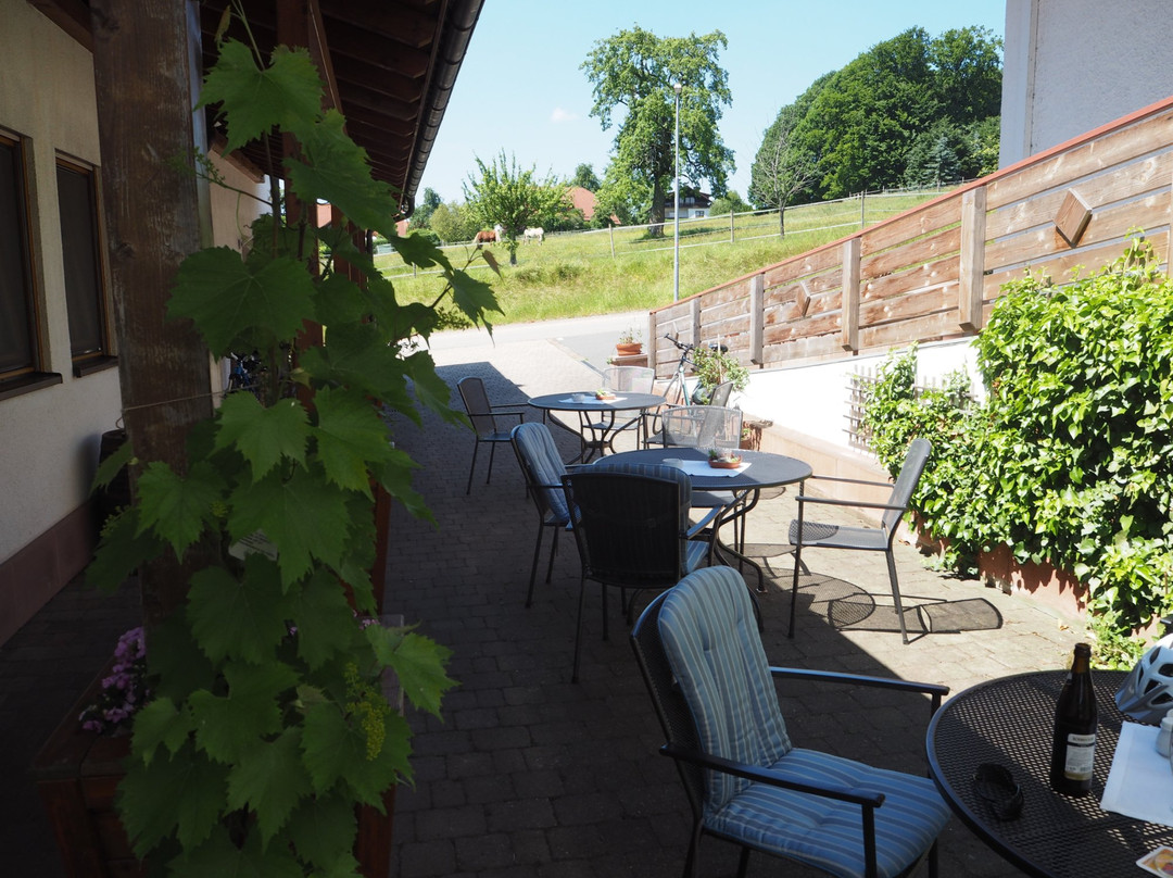 Hollerbach餐馆和美食-Gasthof und Pension Zum Engel