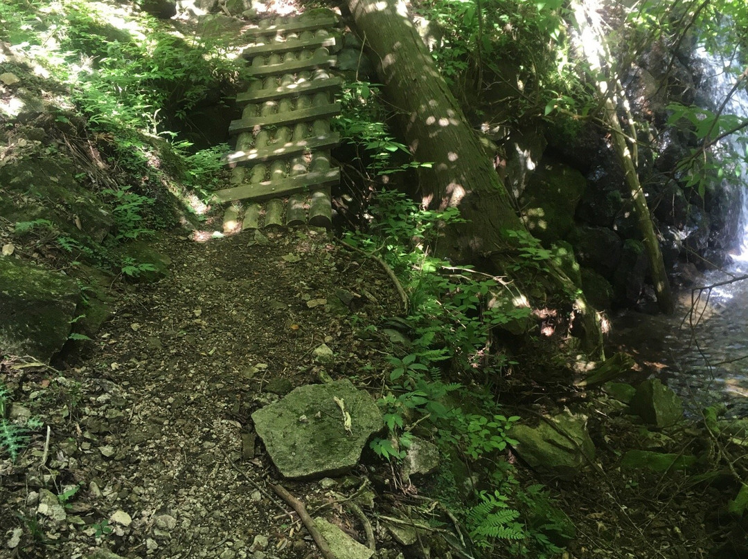 Mt. Mitsumine景点图片