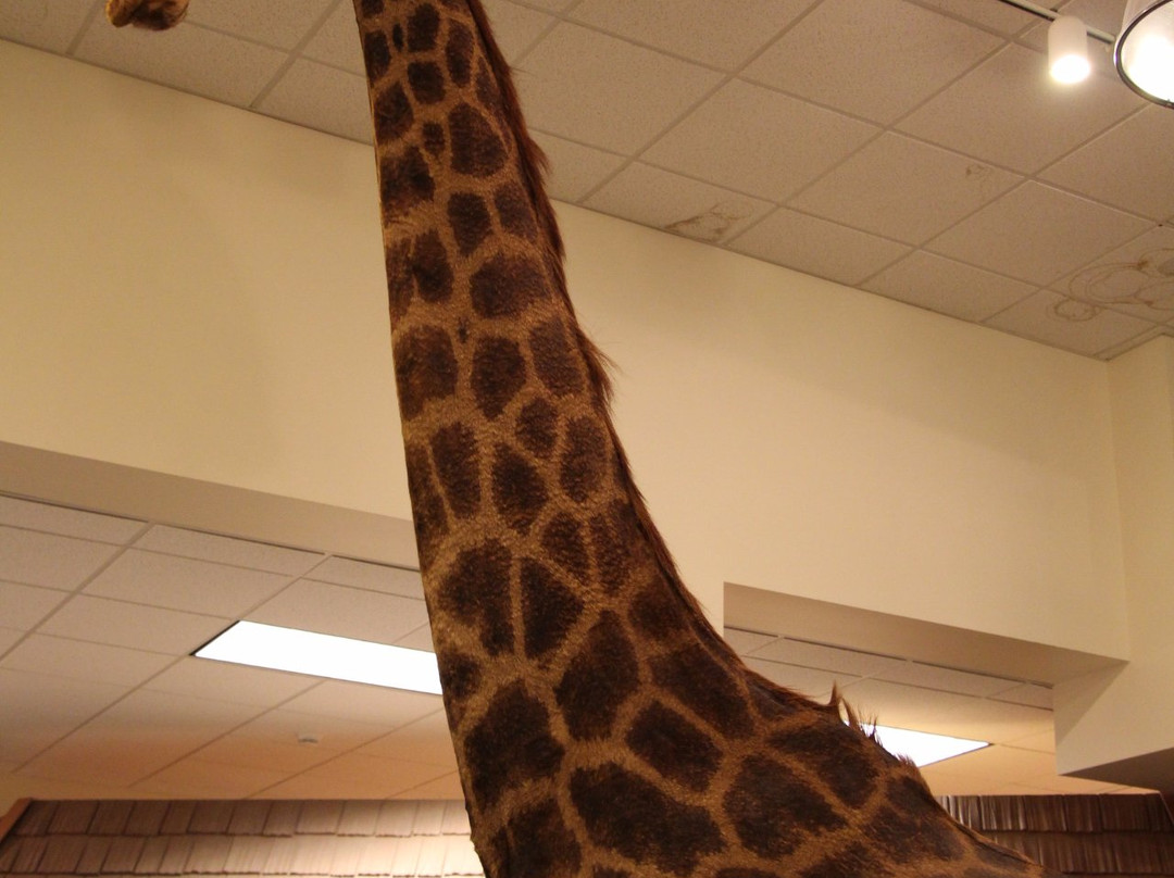 Midwest Museum of Natural History-Sycamore必去景点