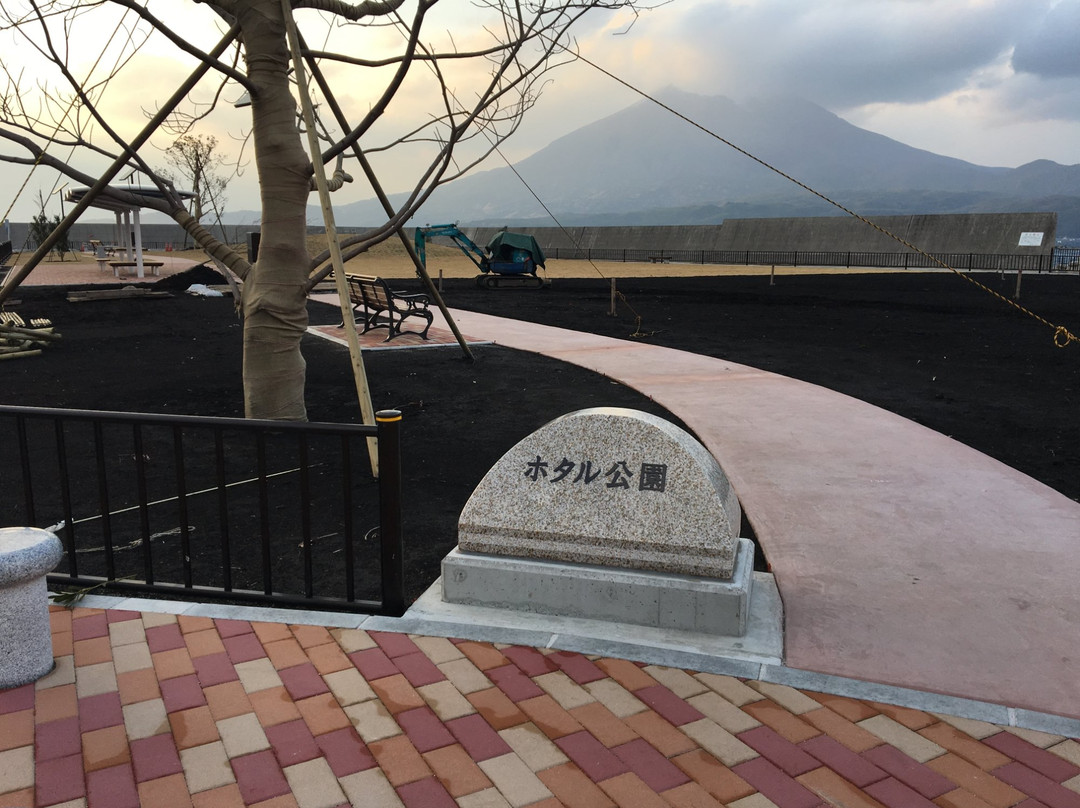 Kaigata Fishing Port-垂水市必去景点