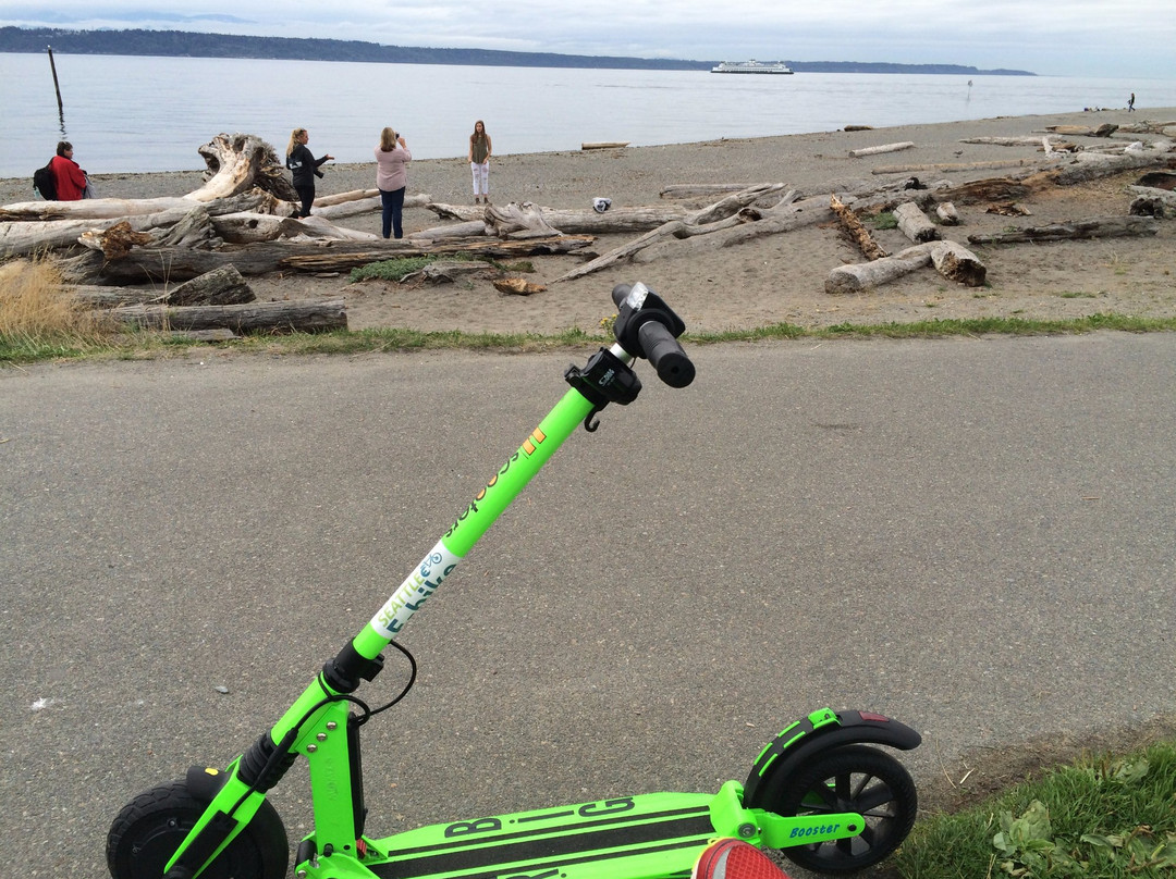 Marina Beach Park-埃德蒙兹必去景点