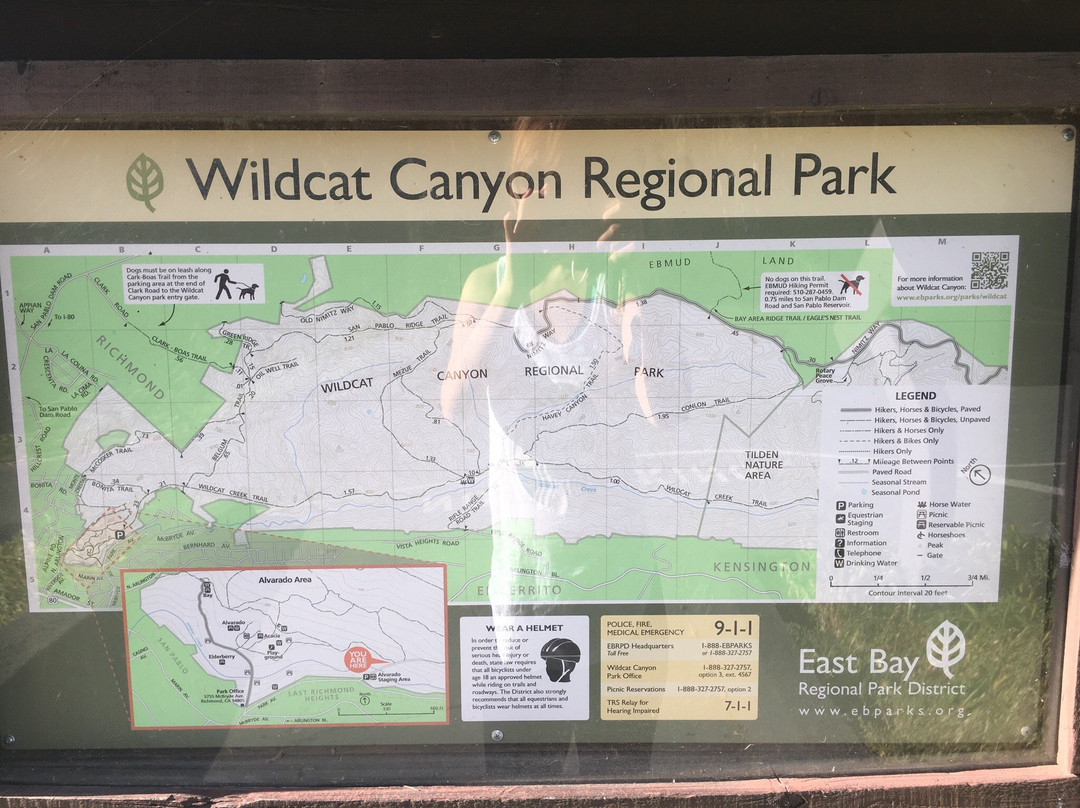 Wildcat Canyon Regional Park-列治文必去景点