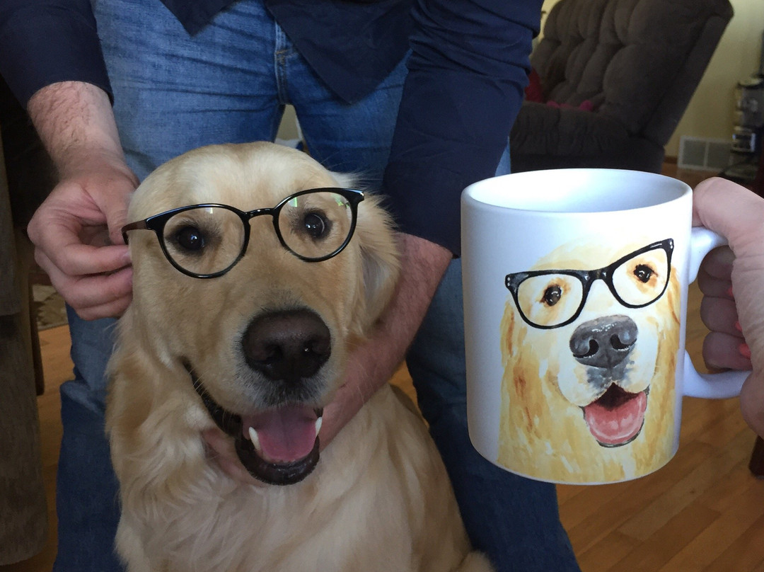 Decadent Dogs-南黑文必去景点