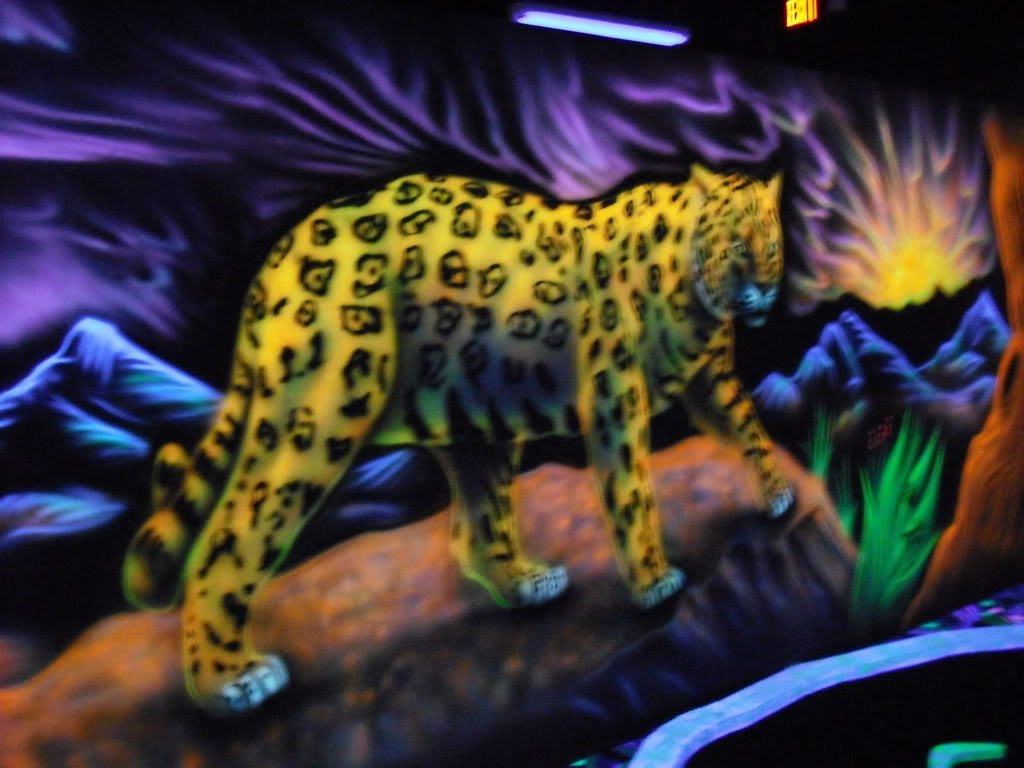 Shankz 3d Black Light Mini Golf And Pizza景点图片