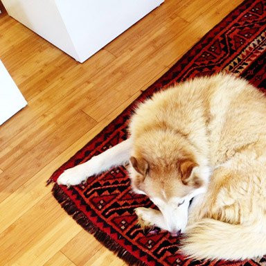 Crystal Harmonics-可洛亚必去景点