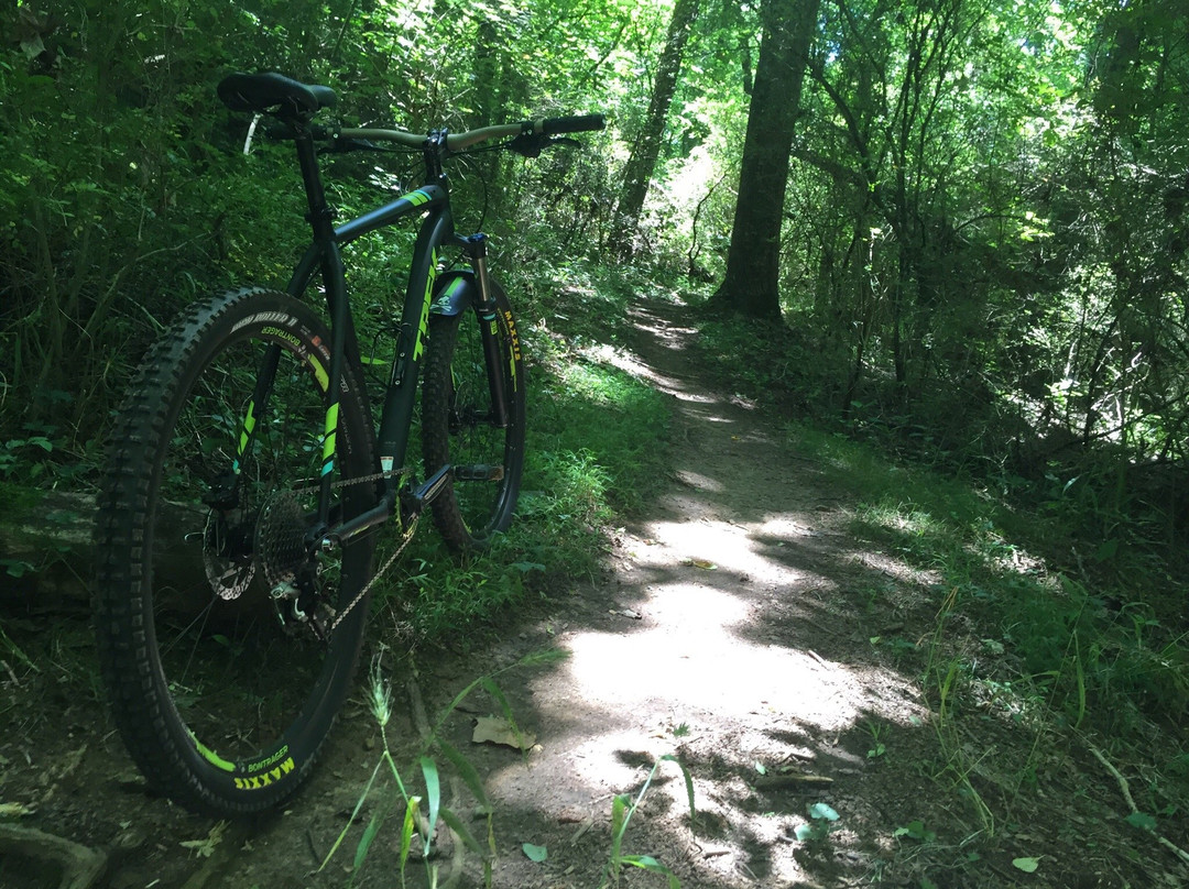 Chickasaw Trace County Park-哥伦比亚必去景点