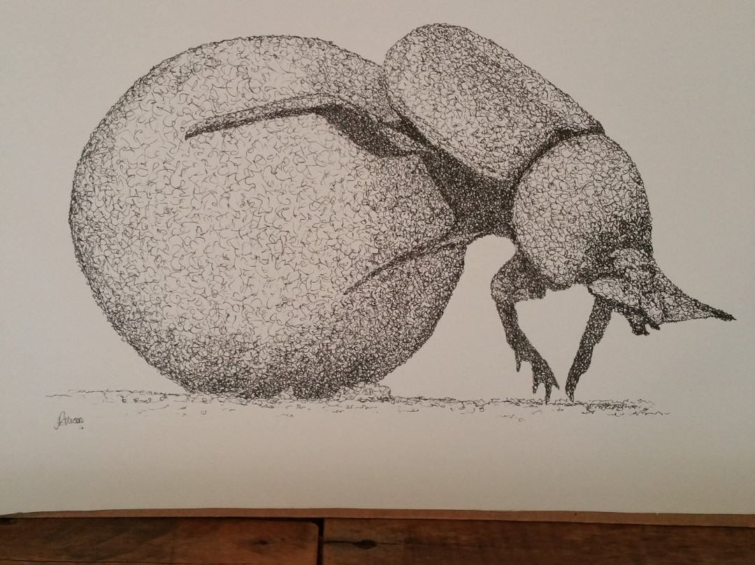 Kingfisher Gallery-霍德斯普鲁特必去景点