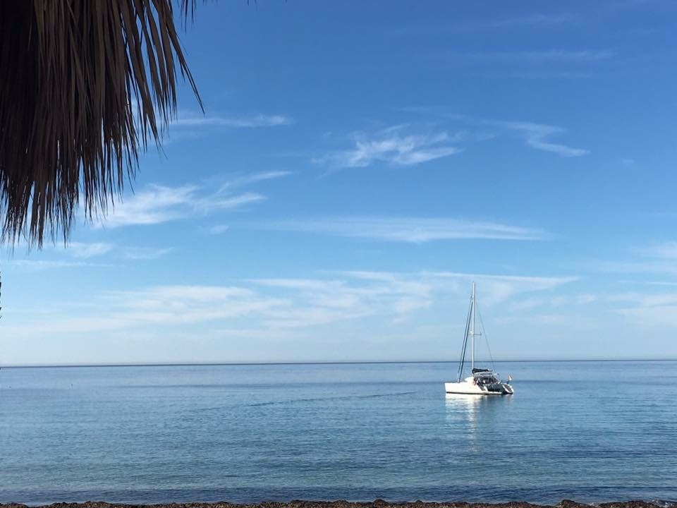 Catamaran Mallorca景点图片