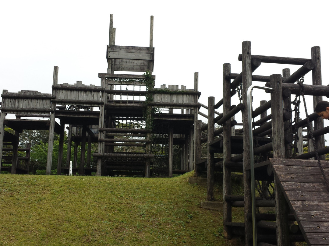 Amami Forest Police景点图片