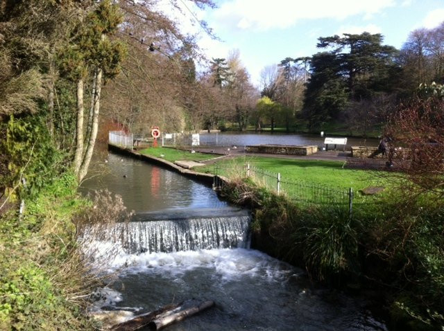 Stratford Park Leisure Centre景点图片