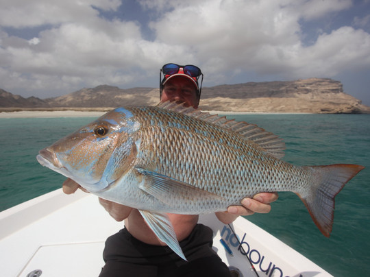 No Boundaries-塞拉莱必去景点