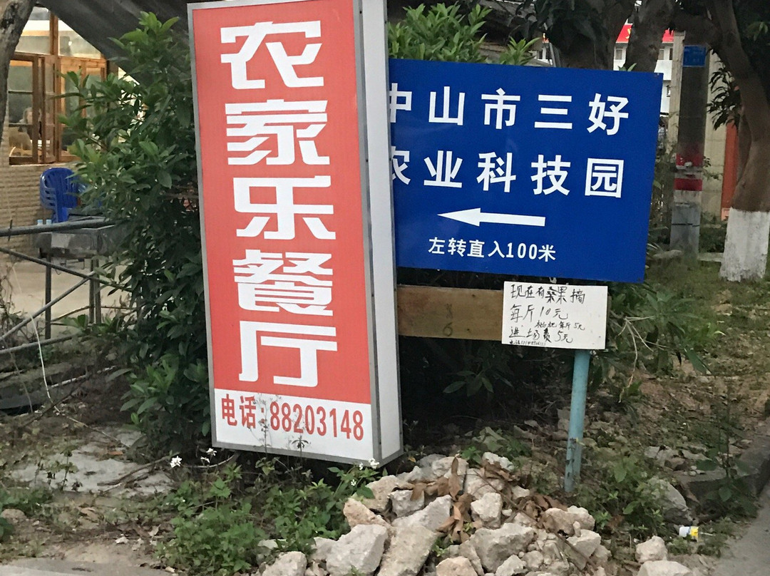五桂山逍遥谷-中山市必去景点