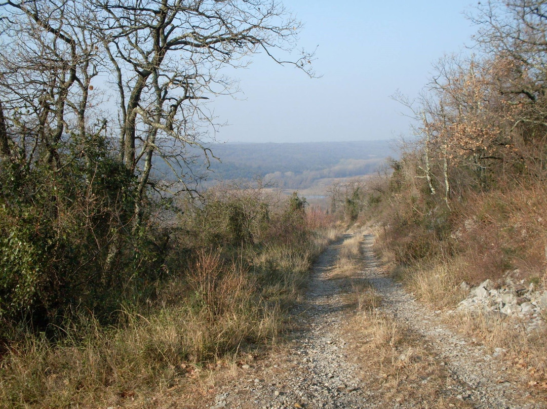 Doberdo del Lago酒店住宿-Hotel & Restaurant Pahor