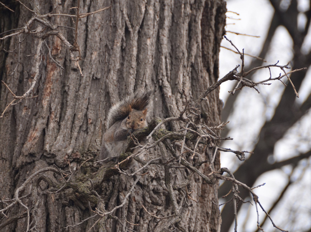 Wildwood Nature Center-Park Ridge必去景点
