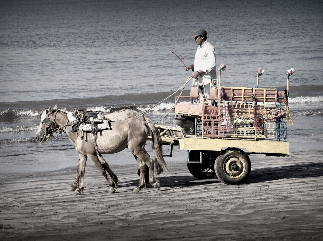 Kelve Beach景点图片