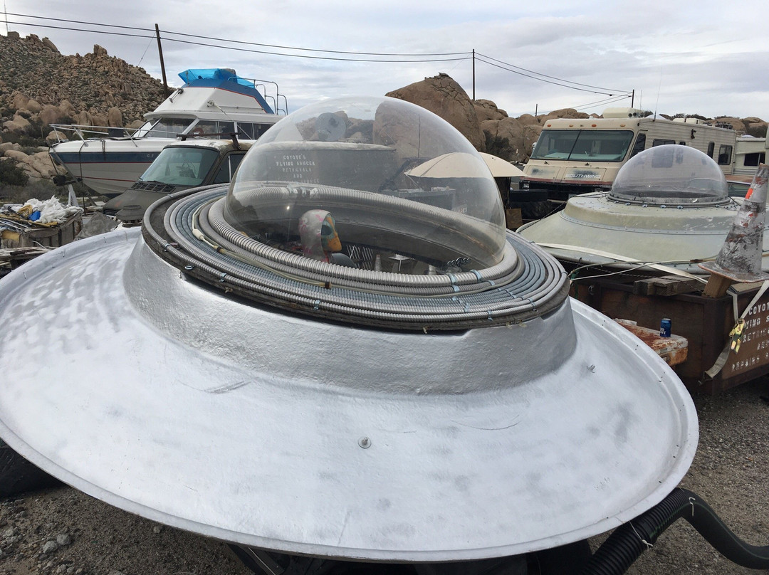 Coyote's Flying Saucer Retrievals and Repairs-哈昆巴必去景点