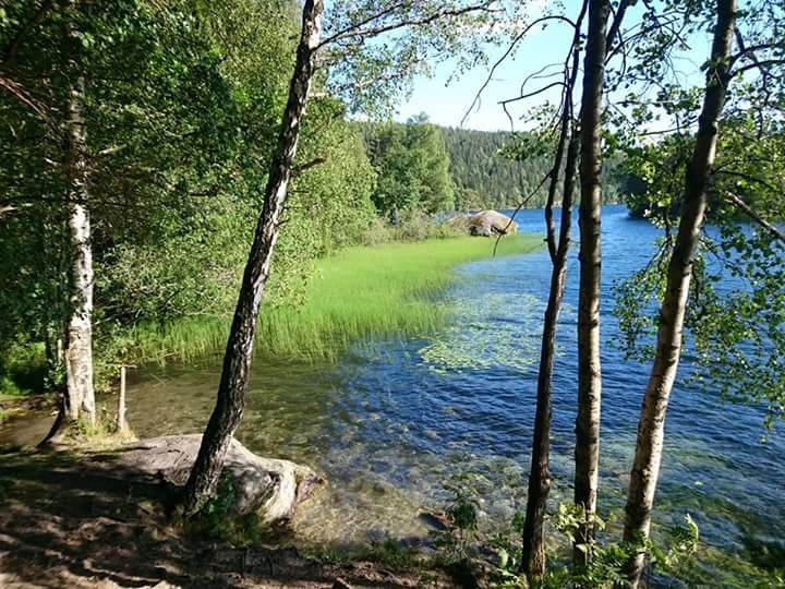 Losby旅游景点-Lutvann