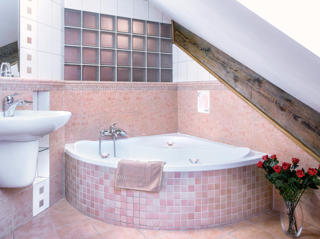 米库洛夫酒店住宿-Baltazar Pension