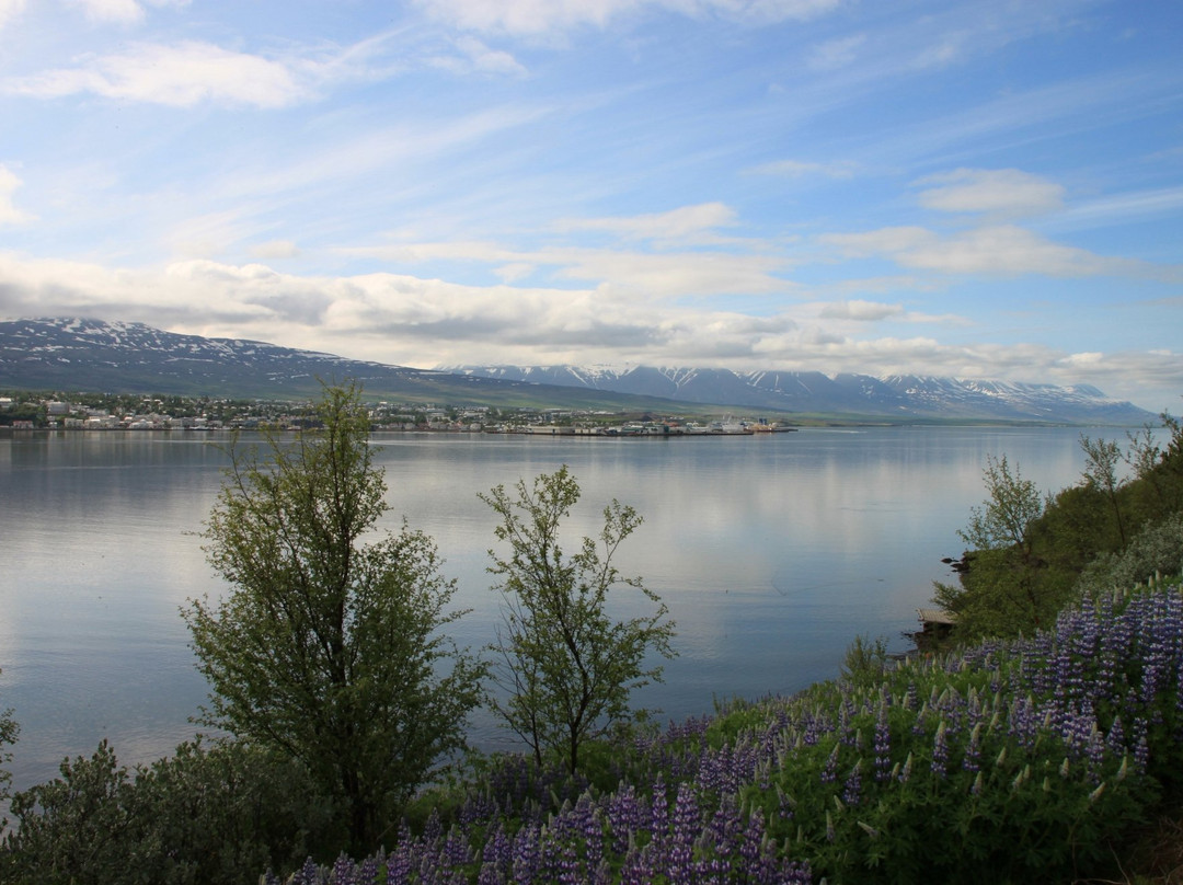 Estuary of the river Eyjafjardará-阿克雷里必去景点