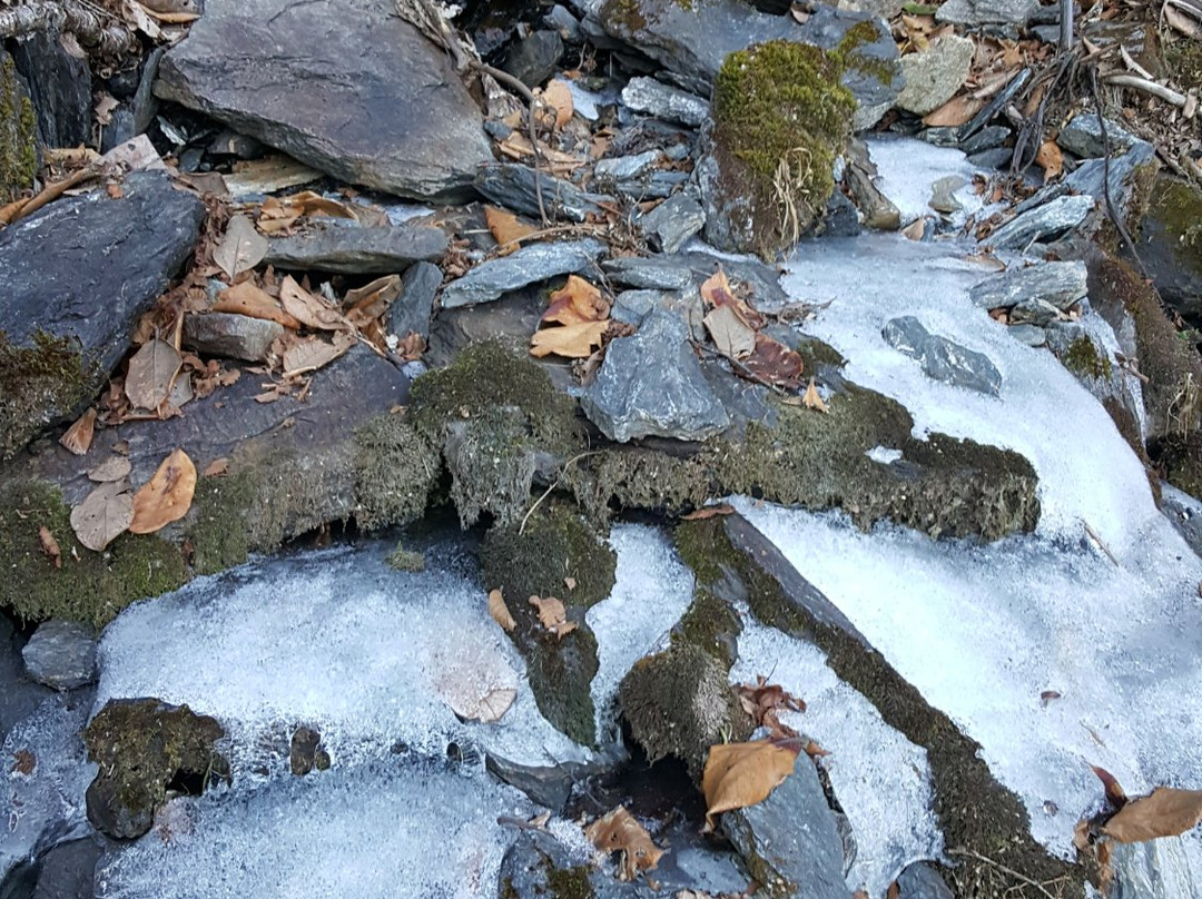Mount Saramati-Tuensang必去景点