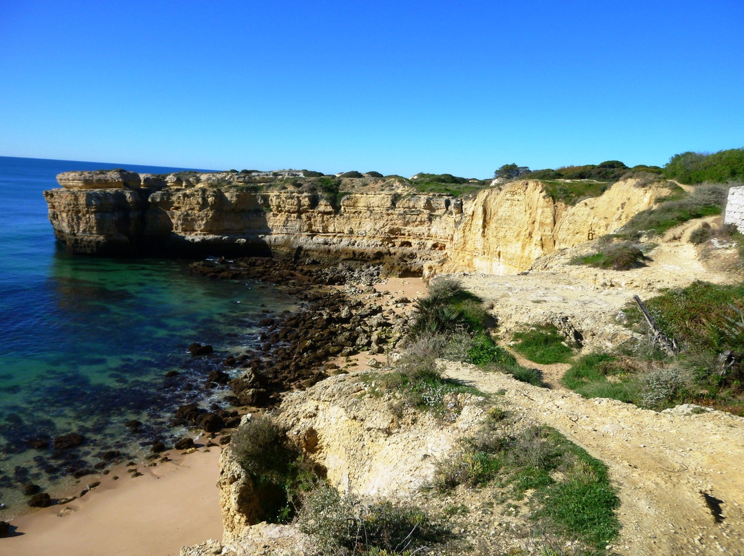 Praia da Coelha景点图片