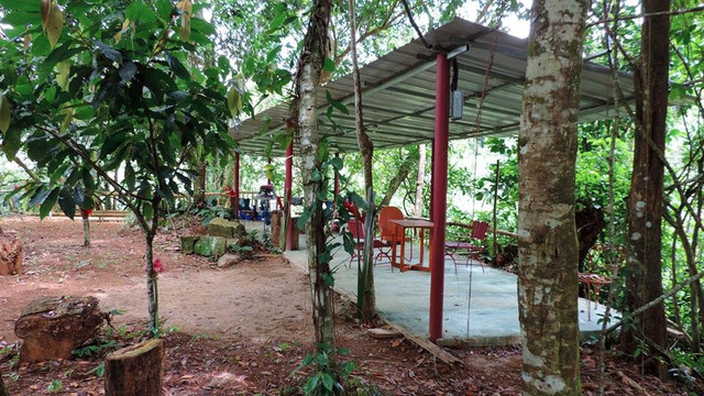 Hacienda Carvajal-Ciales必去景点