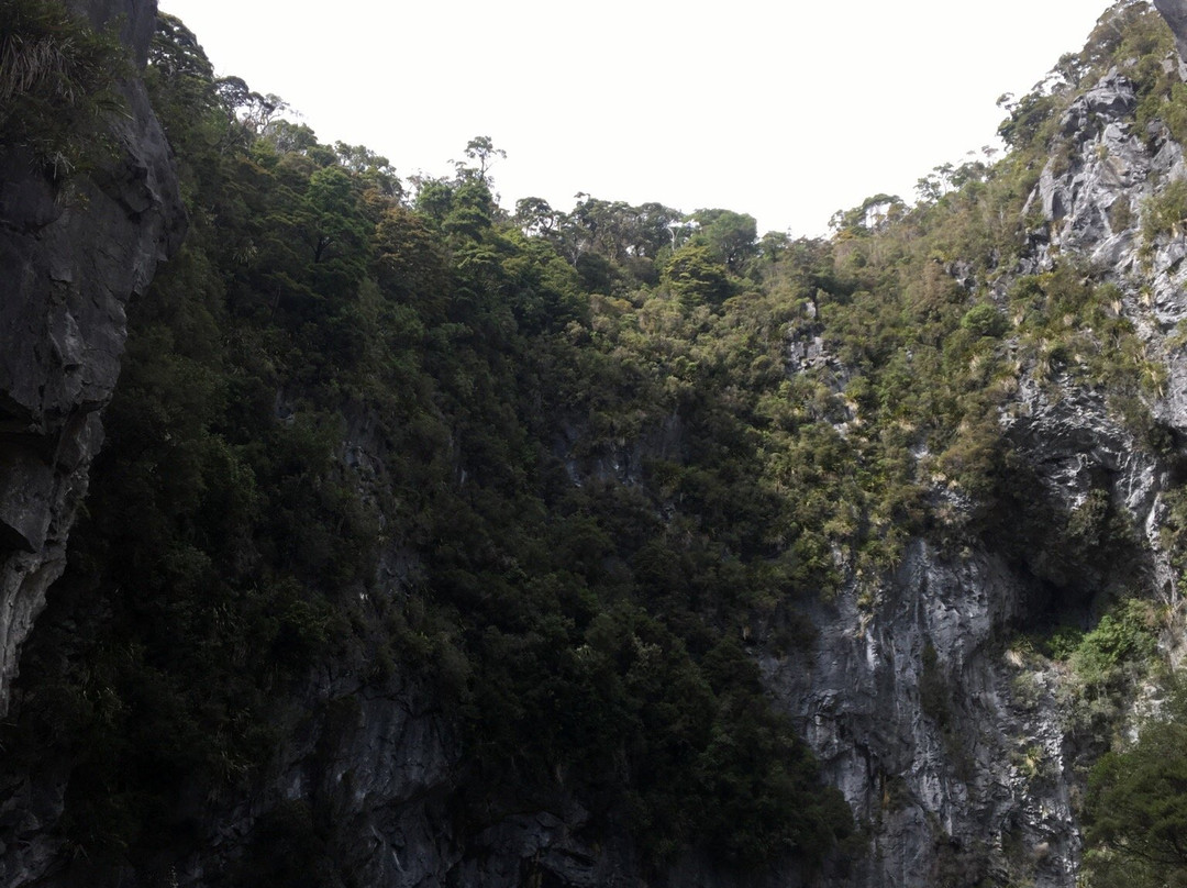 Canaan Downs Scenic Reserve景点图片