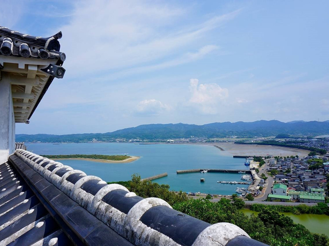 Tomioka Castle景点图片