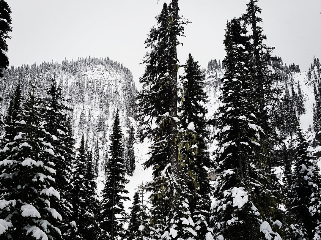 Sugarbowl-Grizzly Den Provincial Park and Protected Area景点图片