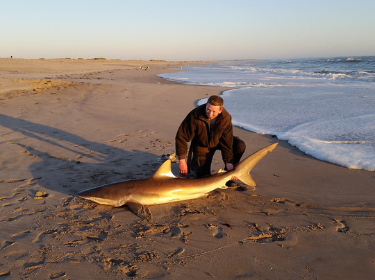 Aquanaut Tours-斯瓦科普蒙德必去景点