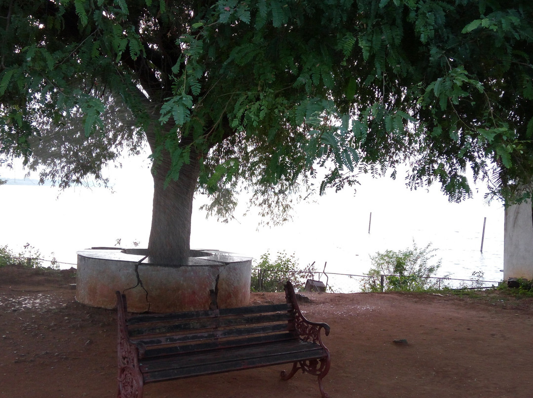 Palair Reservoir景点图片