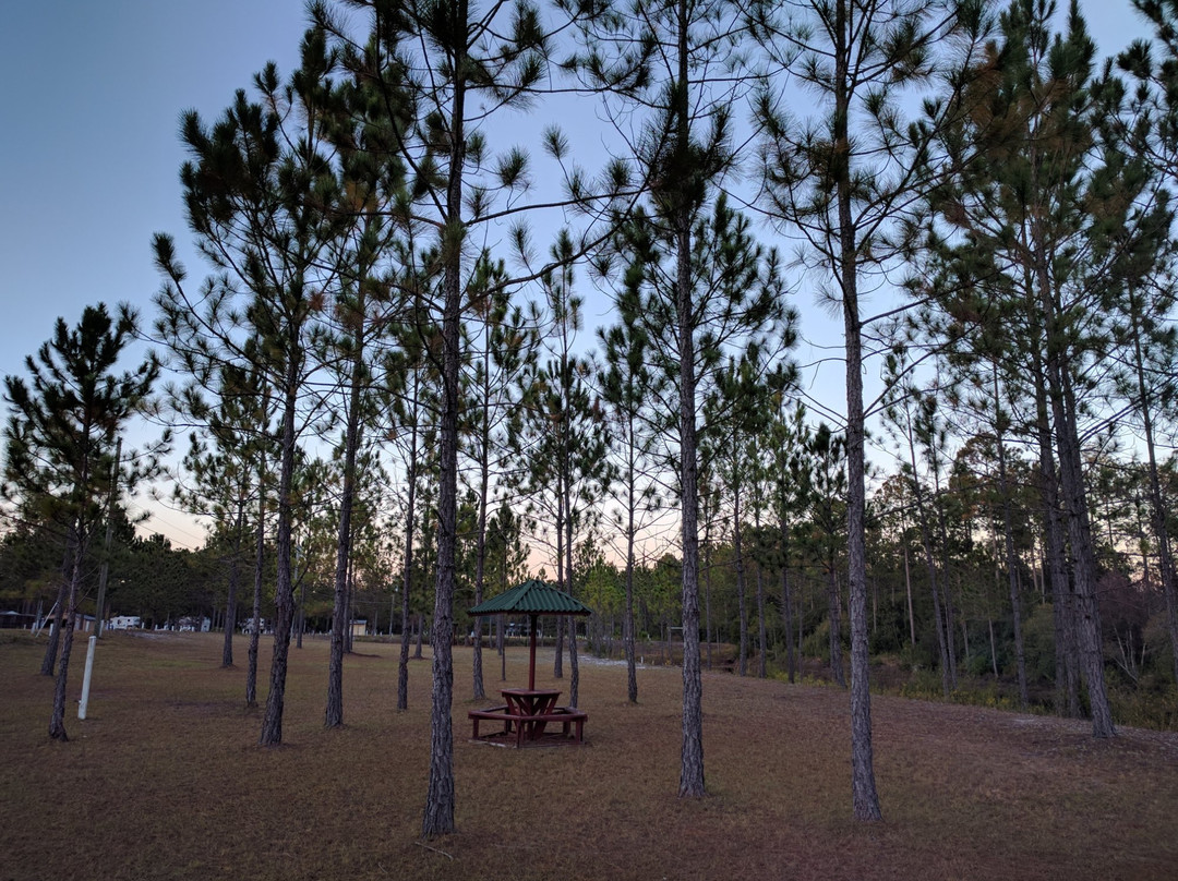 Fountain旅游攻略图片