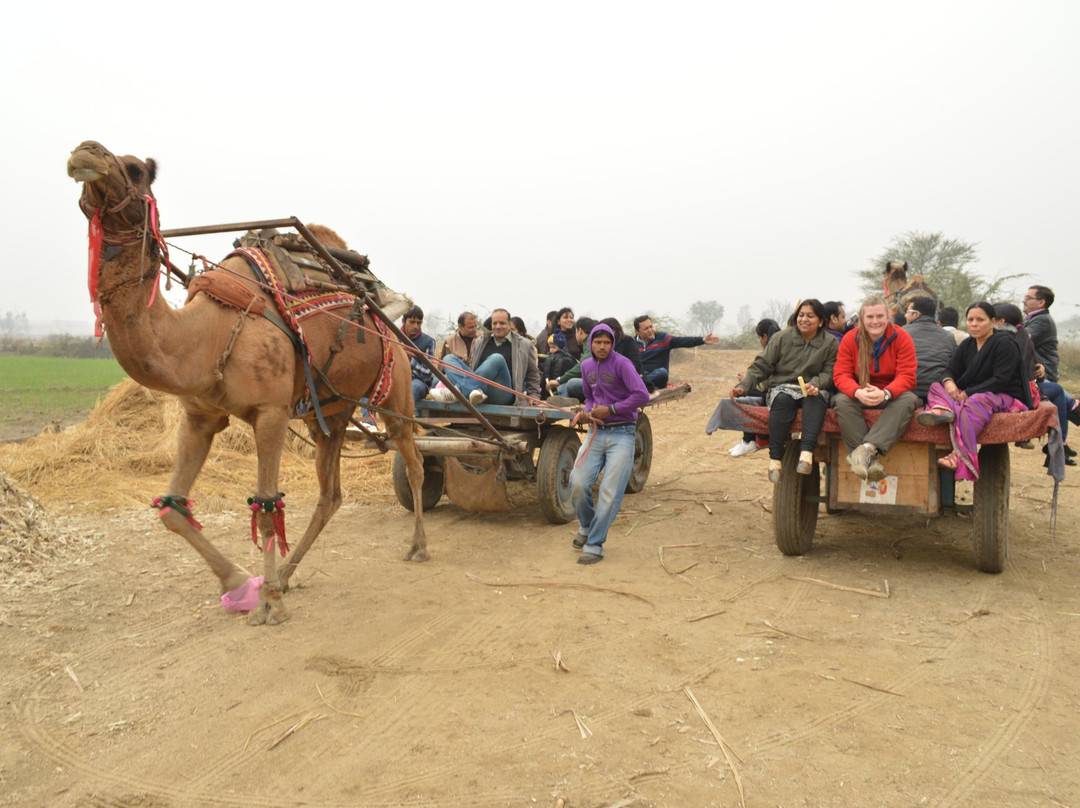 Banni Khera Farm景点图片