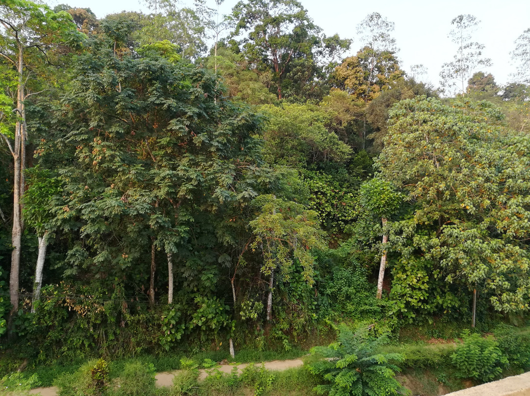 Thilini Tour Inn主图