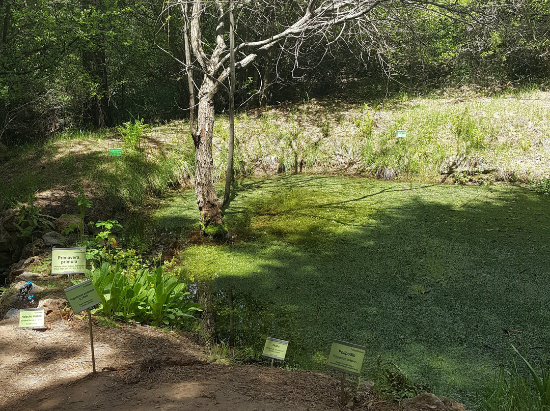 Jardín Botanico Hoya de Pedraza-萨拉内瓦达国家公园必去景点