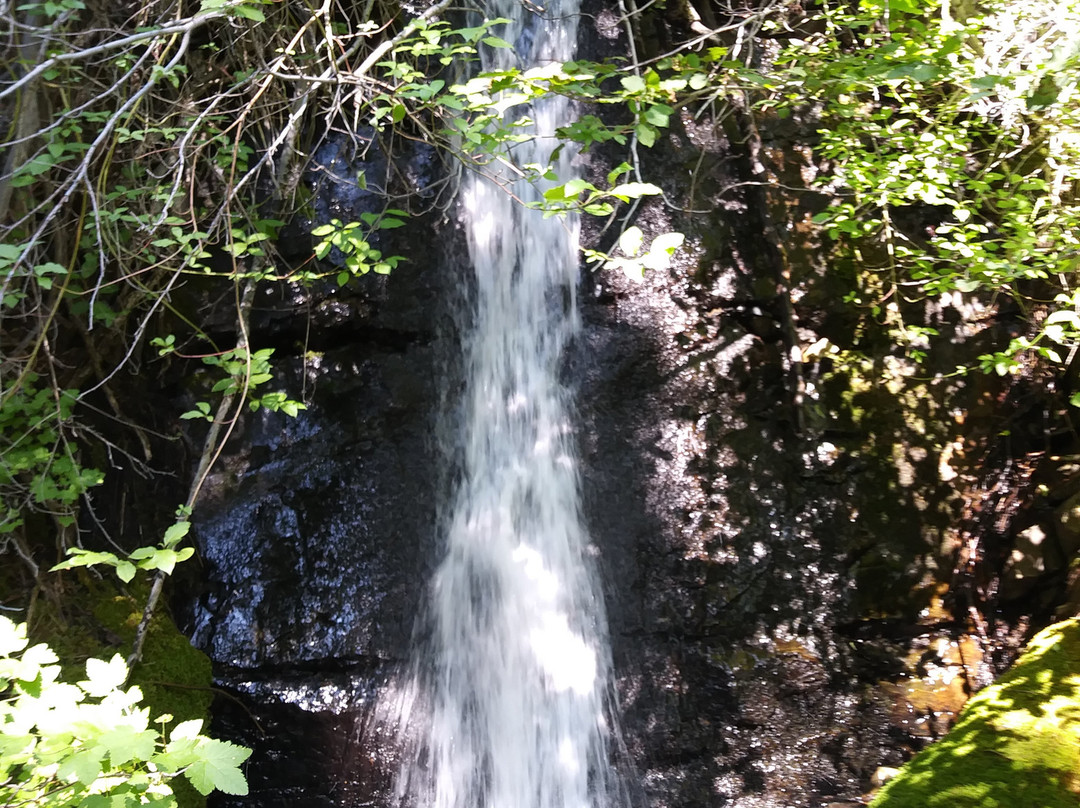 White House Inn主图