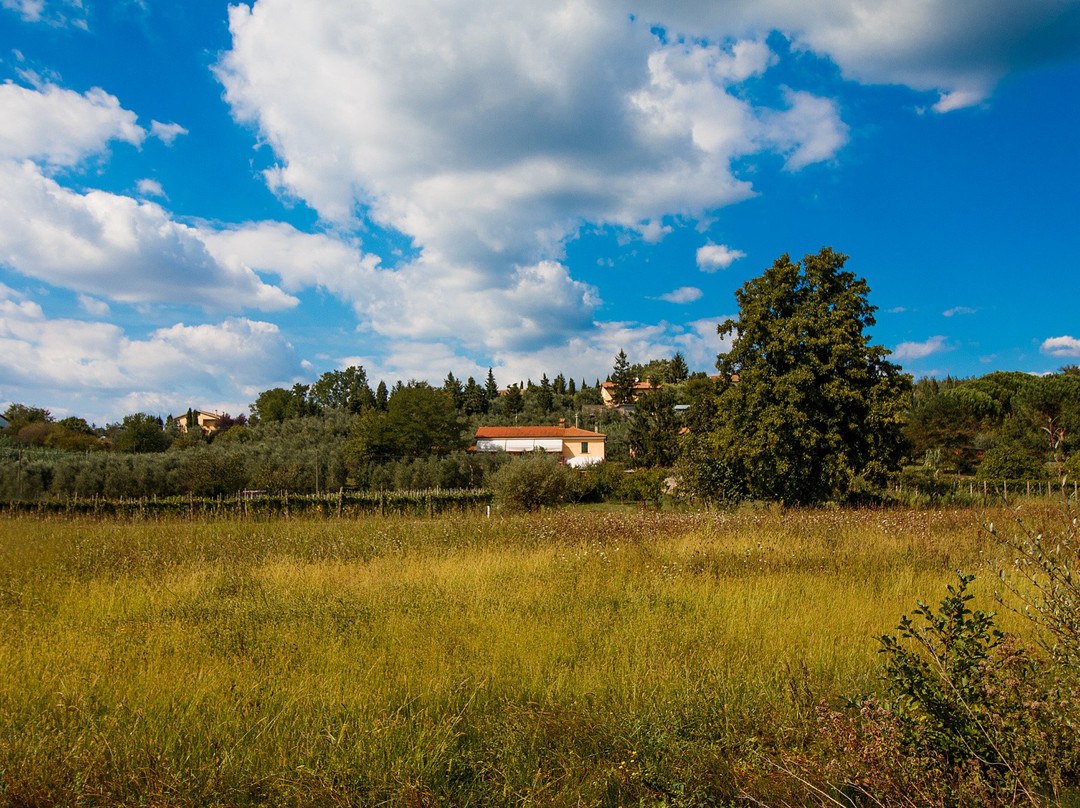 Leonardo Bed & Breakfast主图