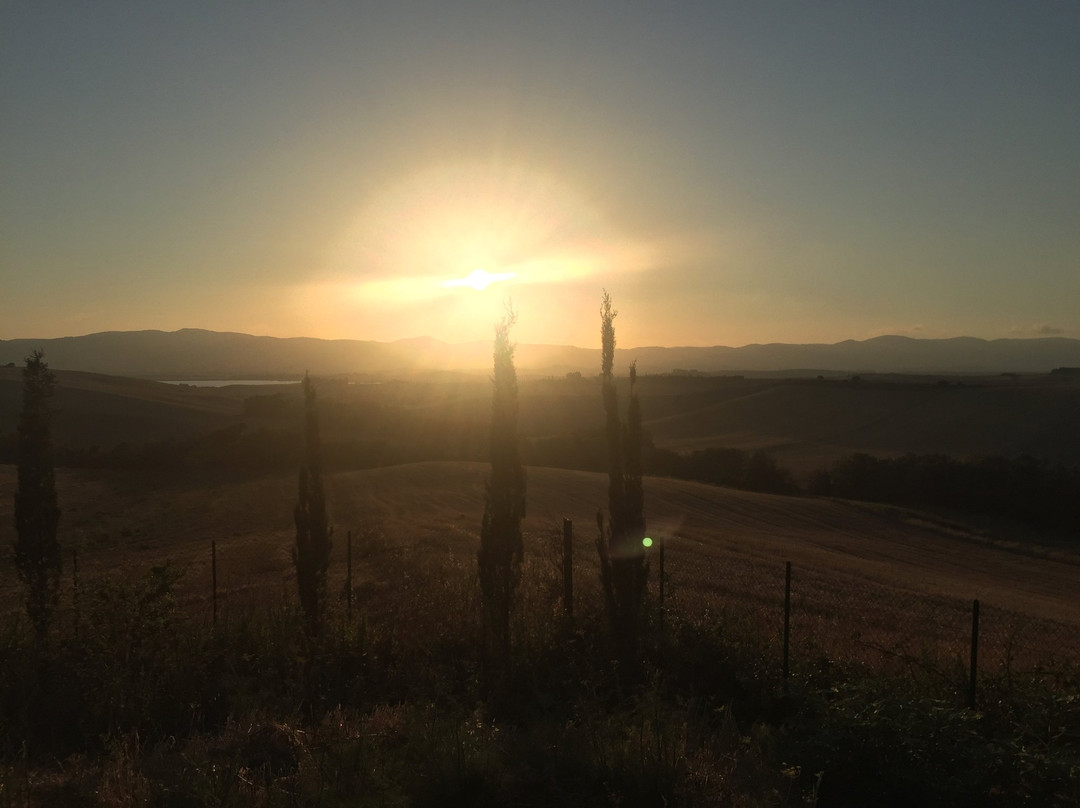 Il Canneto Di Pomaia