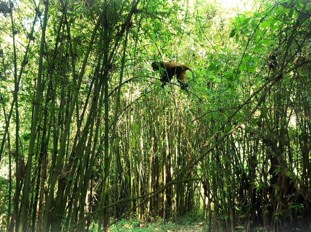 Intare Safaris Rwanda景点图片