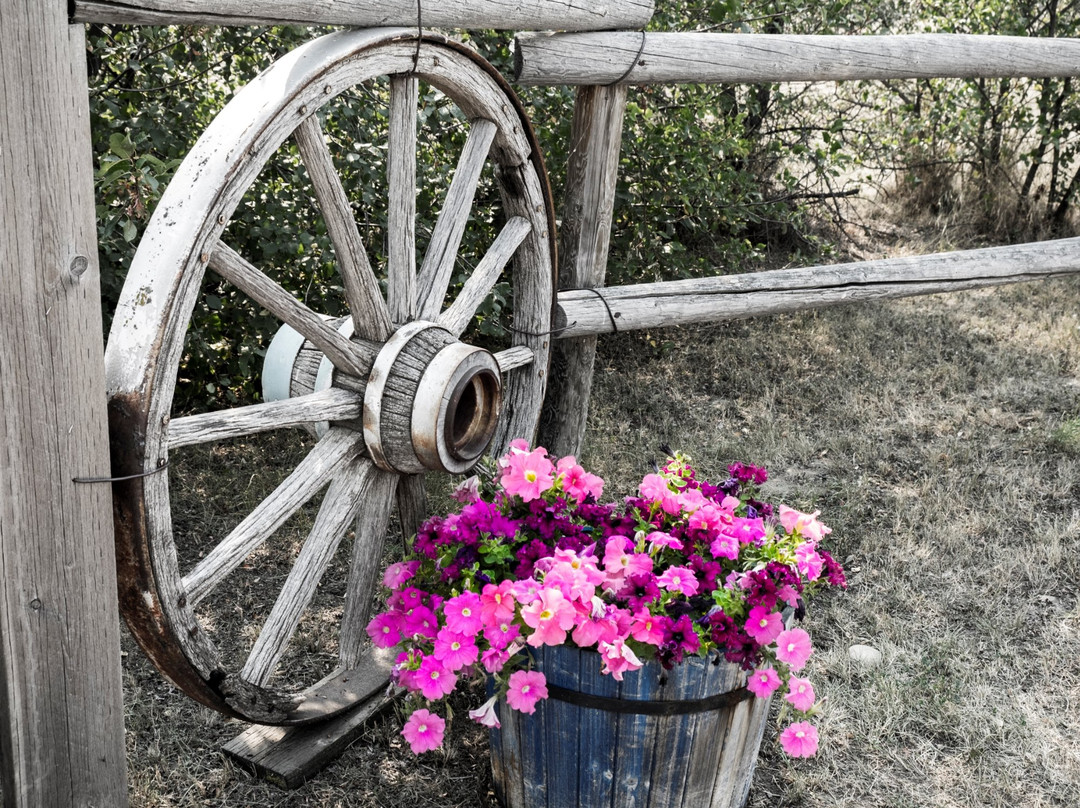 Prairie Wind & Silver Sage-Val Marie必去景点