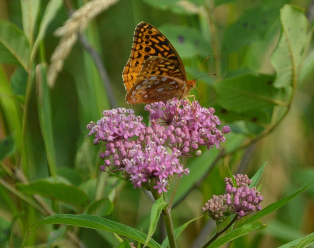 Bradner Preserve-Bradner必去景点