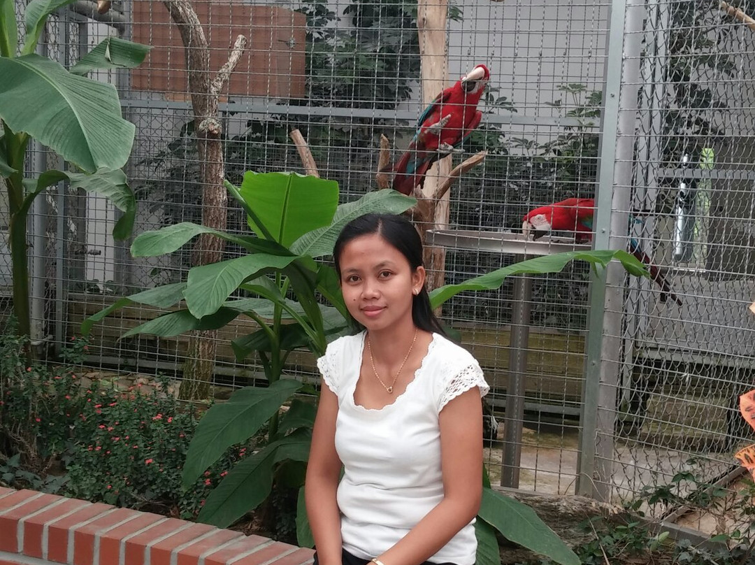 Cheongju Zoo-清州市必去景点