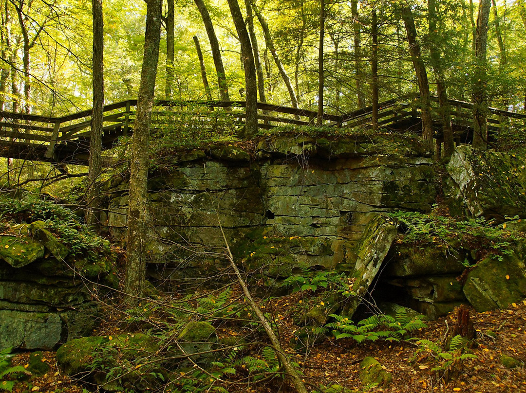 Marlinton旅游攻略图片